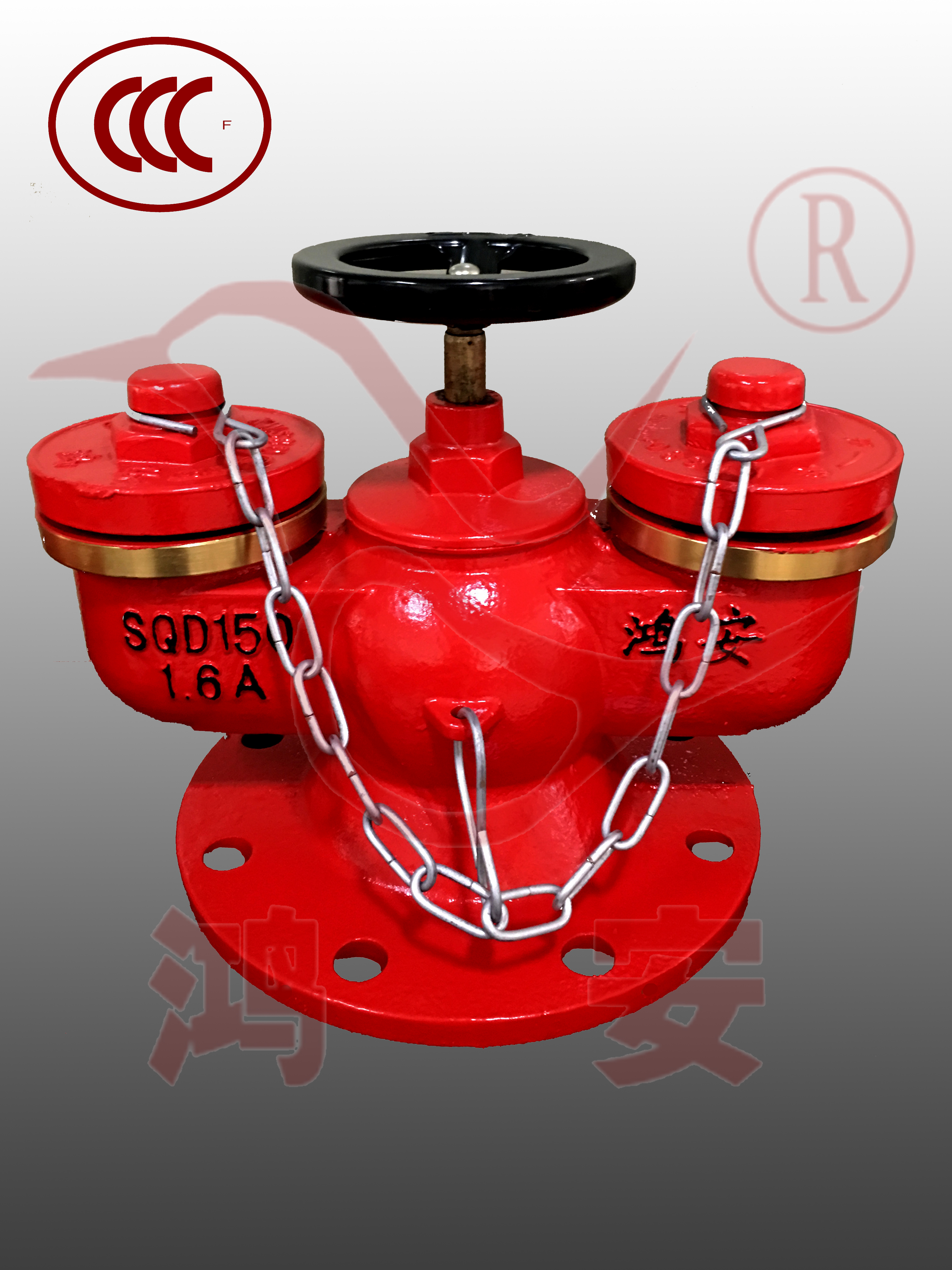 A型多用式消防水泵接合器