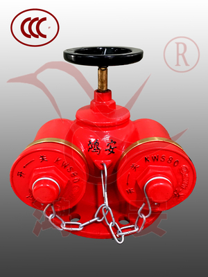 多用式消防水泵接合器