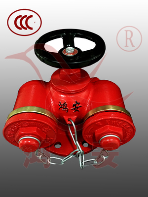 多用式消防水泵接合器